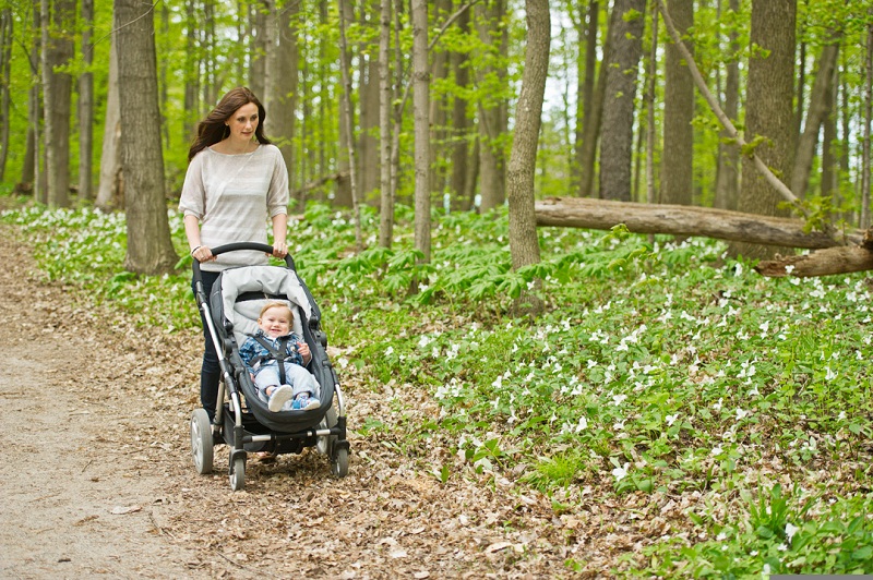A woman walks her child in a forest
