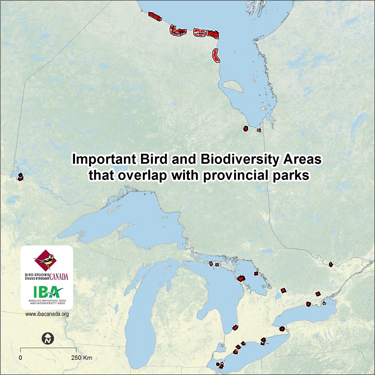 carte des endroits où se chevauchent les ZICOs et les parcs provinciaux en Ontario