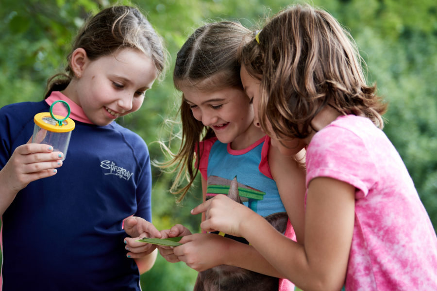 Kids checking out a cool leaf they found.