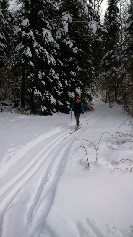 Quetico skier