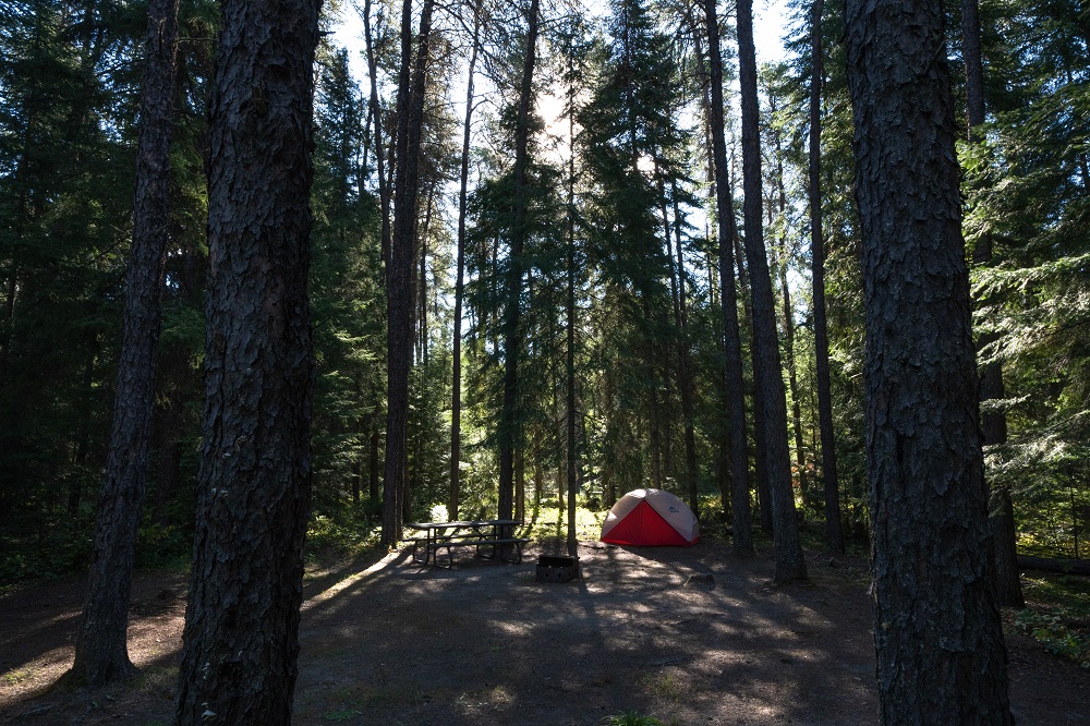 forested campsite with tent