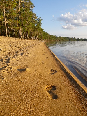 Footprints in the sand on the beach at Blue Lake 