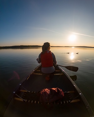 person paddling in canoe