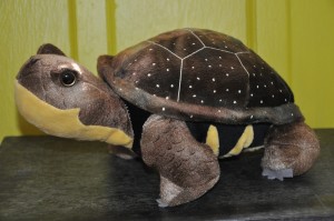 Stuffed turtle