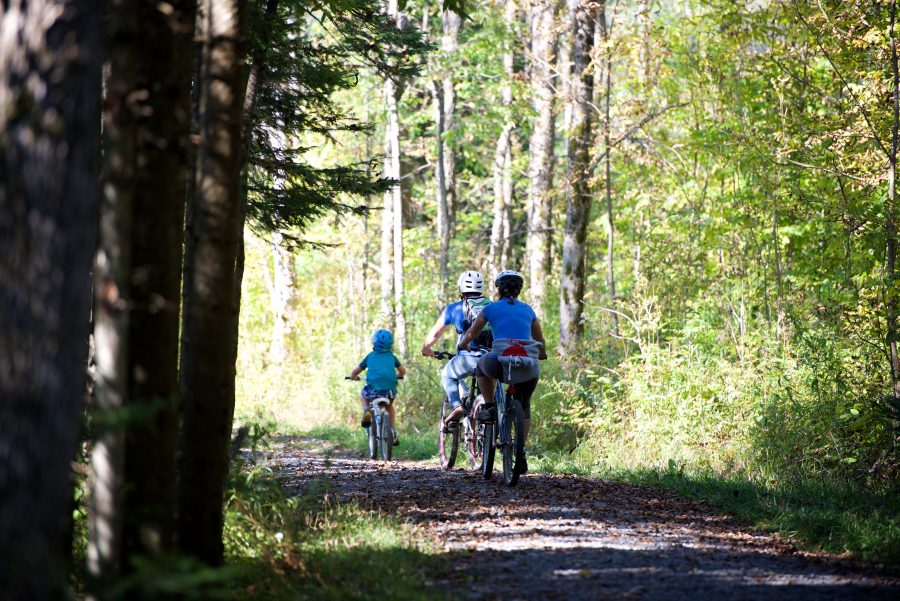 Family on Bike Trail