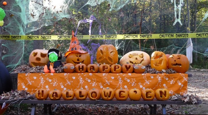 Halloween at Ontario Parks