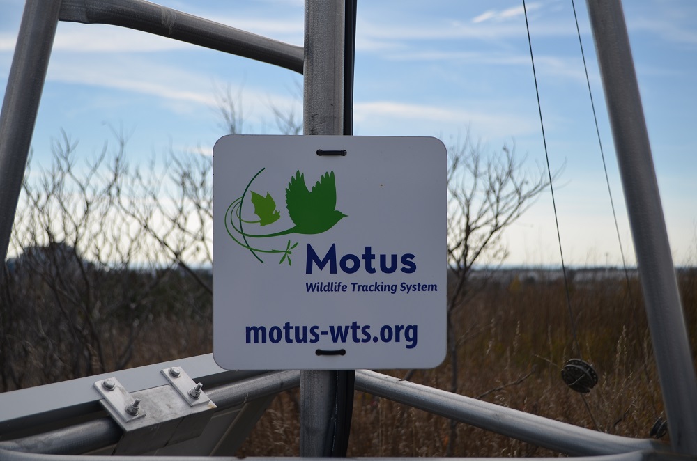 motus sign on tower