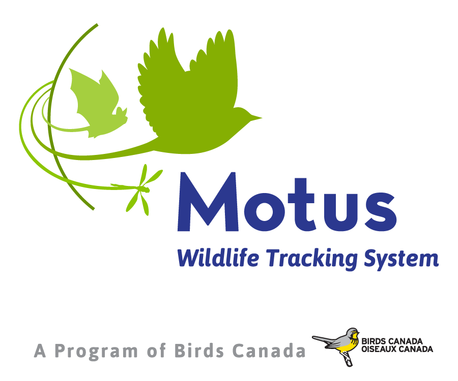 MOTUS logo