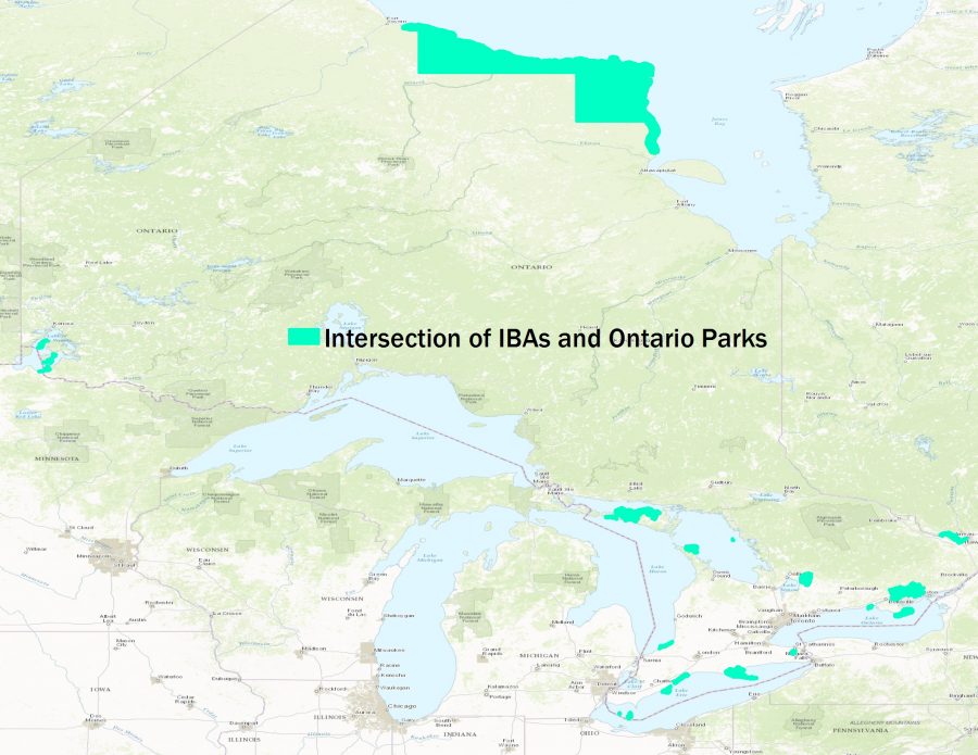 places IBAs intersect with parks