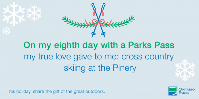 Cross-country skiing at the Pinery