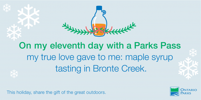 maple syrup tasting at Bronte Creek