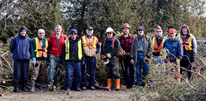 Scots Pine Removal - Panne Work Crew 