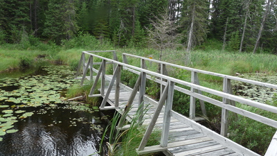 White Lake bridge