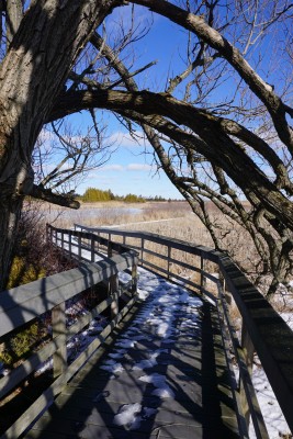 Sentier Marsh dans le parc Presquile