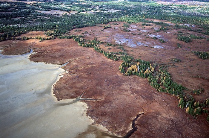Vue aérienne des terres humides du parc Misery Bay 