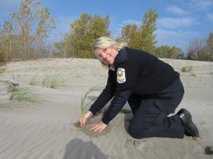 Julie Foster planting dune grass at Long Point