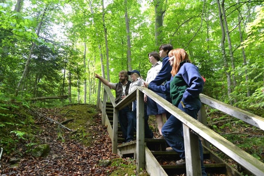 birders on staircase