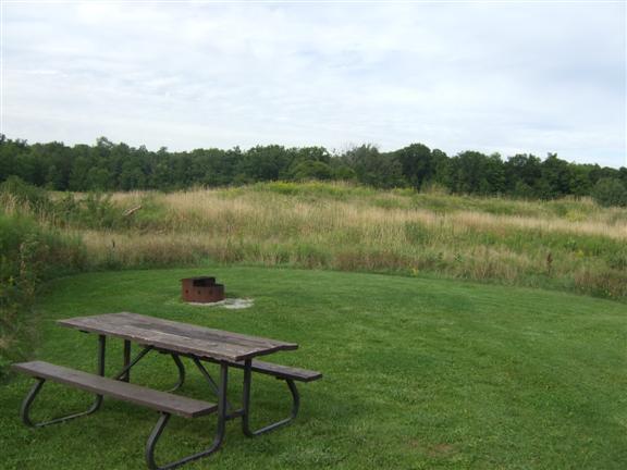 Site 401, Woodland and Ravine Campground. Tent camping or RVs up to 18ft. (Electrical site).