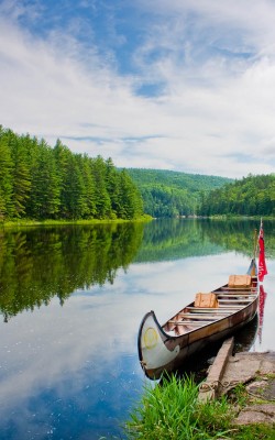 Birchbark canoe