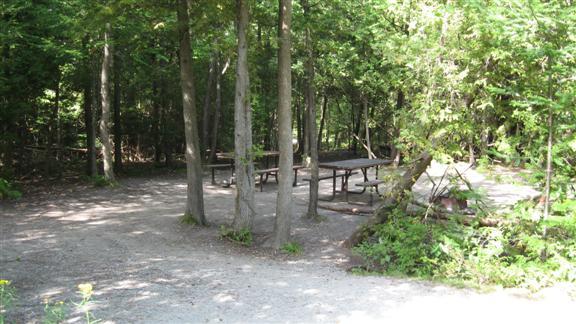 Site 99, Algonquin Campground. Tent camping only (electrical site). 