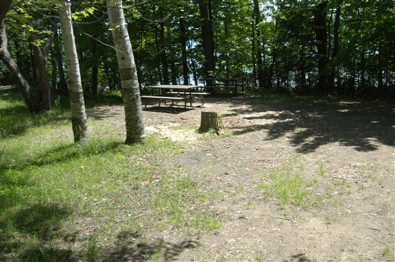 Site 255, Putts Point Campground. Tent camping or RV up to 32ft.
