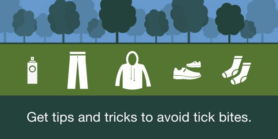 tips for protection from ticks