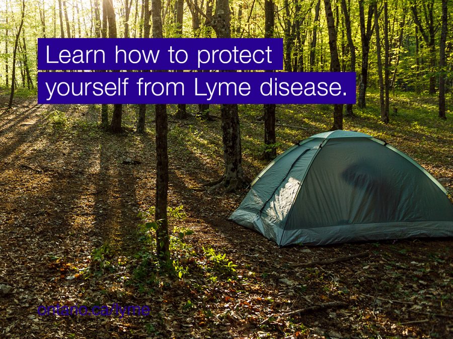 Learn to protect yourself from lyme disease