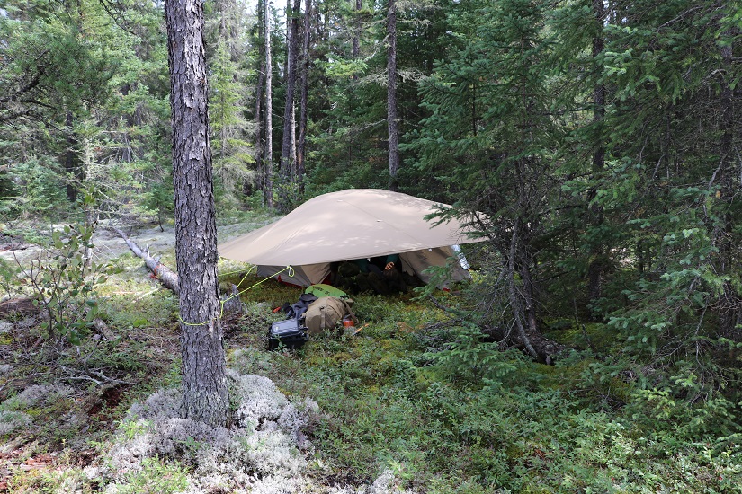 Backcountry tent in the woods.