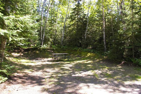 Site 21, Whitesand Lake. Tent camping and RV up to 18 ft (electrical site). 