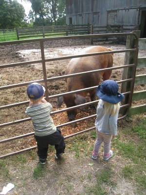 Kids looking at farm animals.