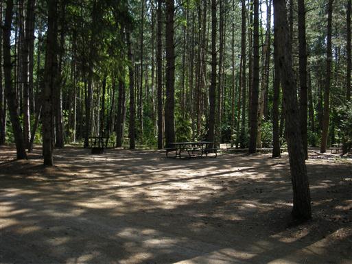 Mikisew campsite