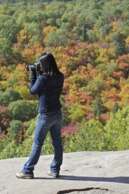 fall photographer at Algonquin