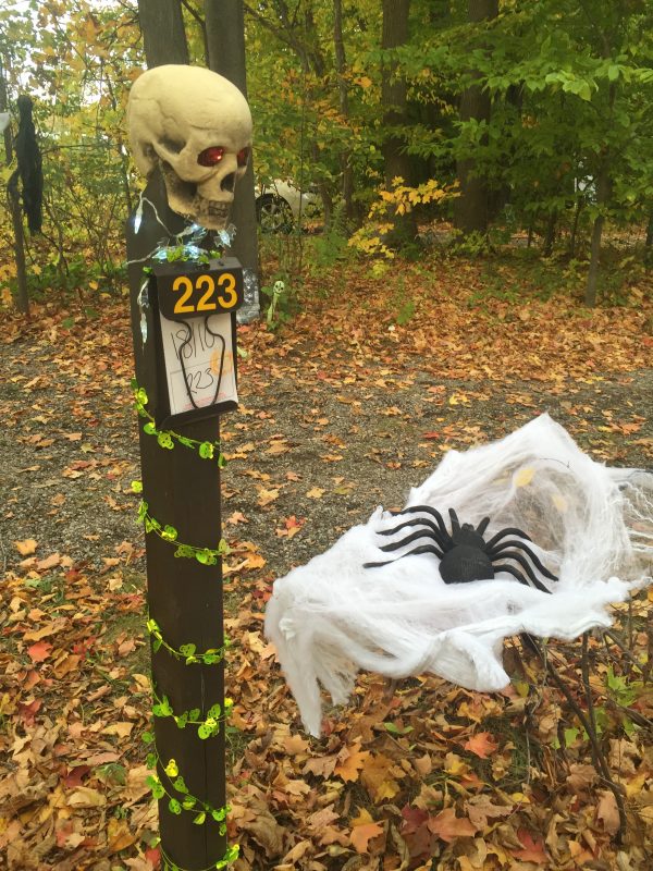 campsite post decorated for camper skull and spider web