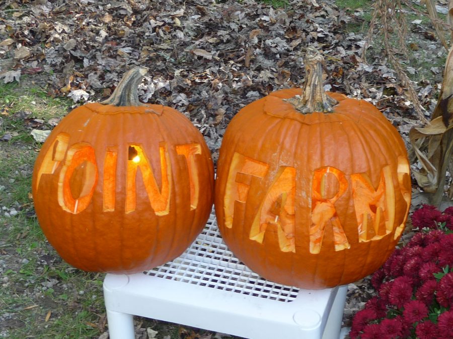 Two pumpkins with Point Farms carved into them.