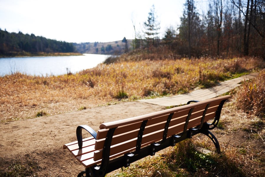 bench on dirt pathway looking over lake