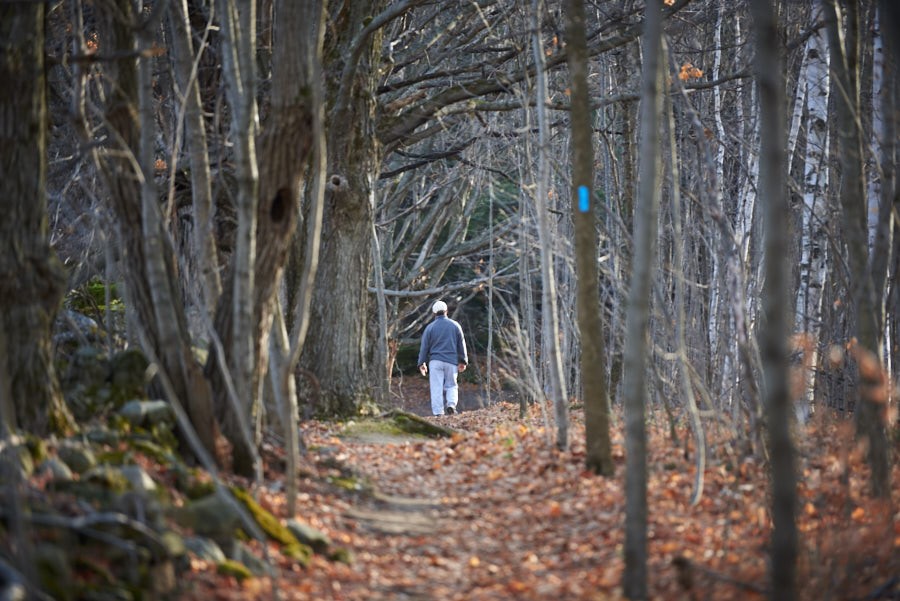 man walking through pathway surrounded by bare trees
