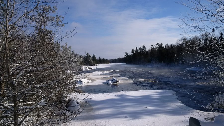 rivière brumeuse en hiver avec des arbres couverts de givre