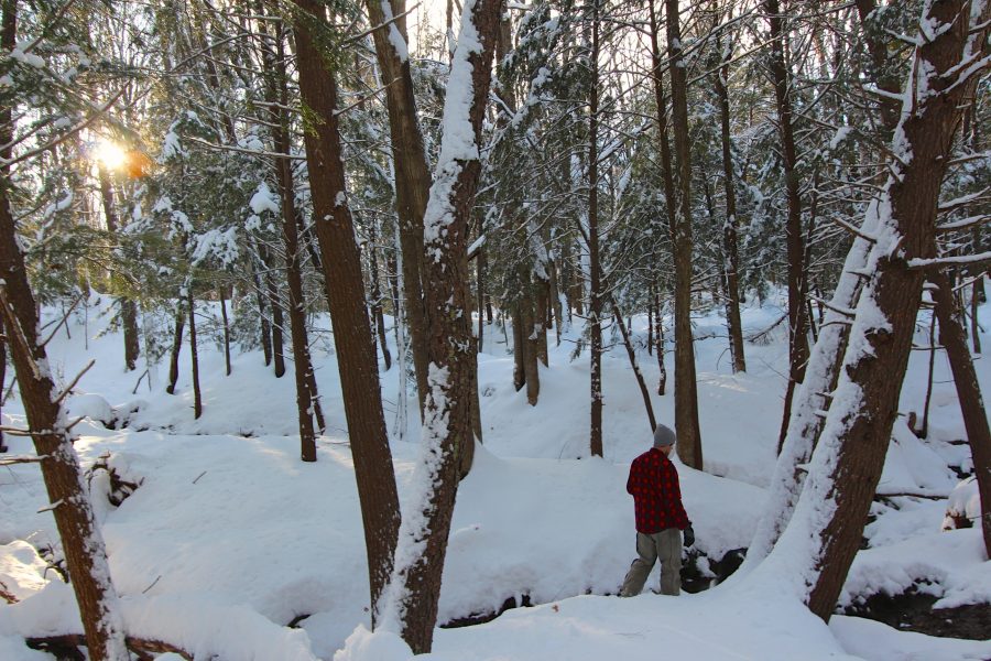 man walking in snowy forest