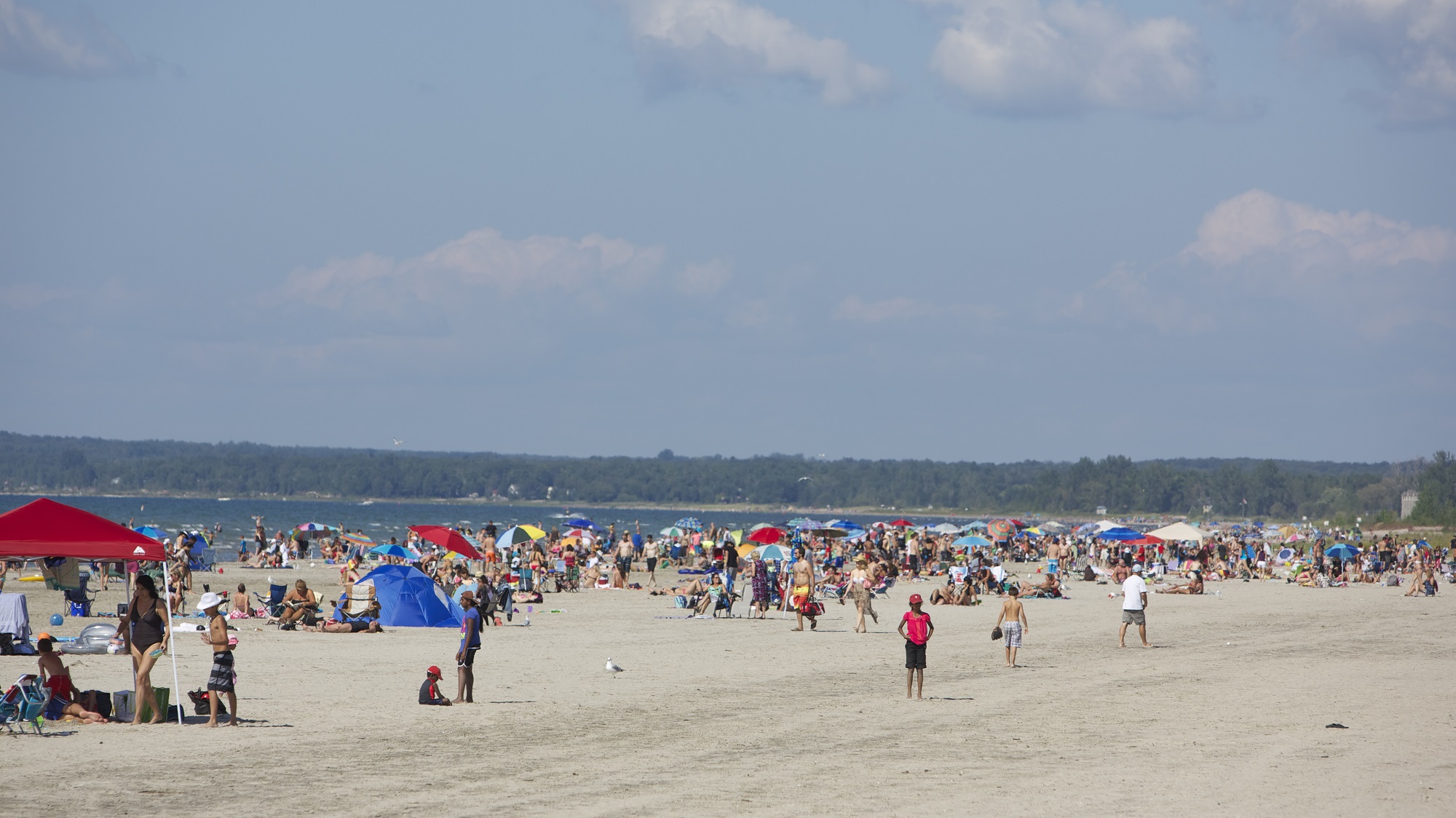 How to beat the crowds at Wasaga Beach | Ontario Parks