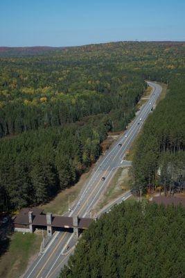 highway through forest