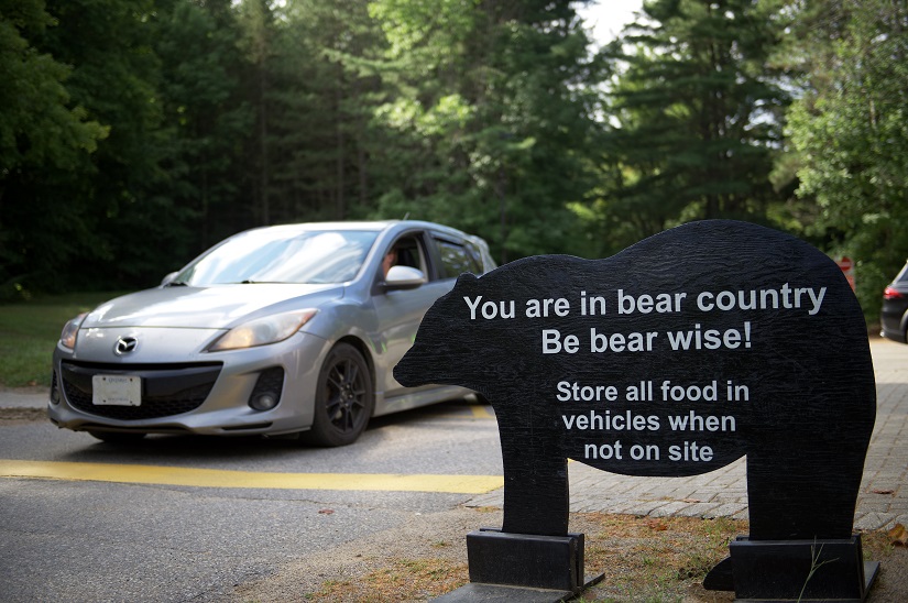 Bear country sign outside park. 