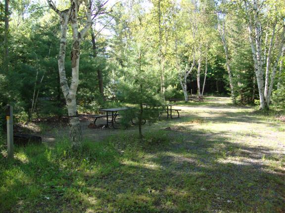 oastler lake campsite with trees