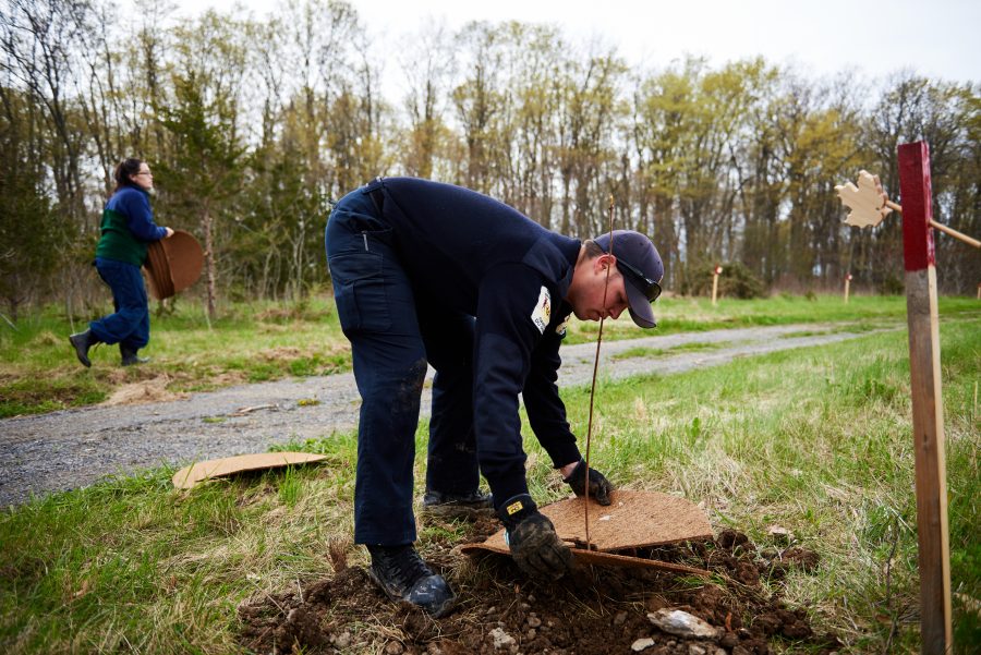 staff member planting a tree