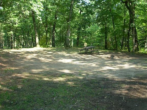 McRae campsite with trees