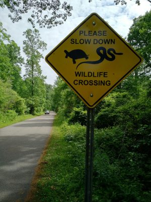 brake for wildlife sign