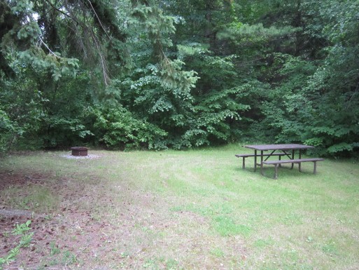 Grassy campground with picnic bench and firepit. 
