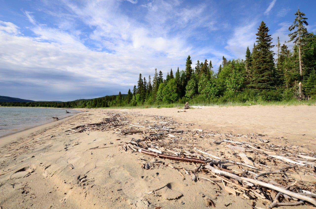 Du bois flotté dispersé sur la plage du parc provincial Neys