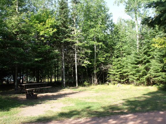 Sunny campground photo with picnic bench and firepit. 