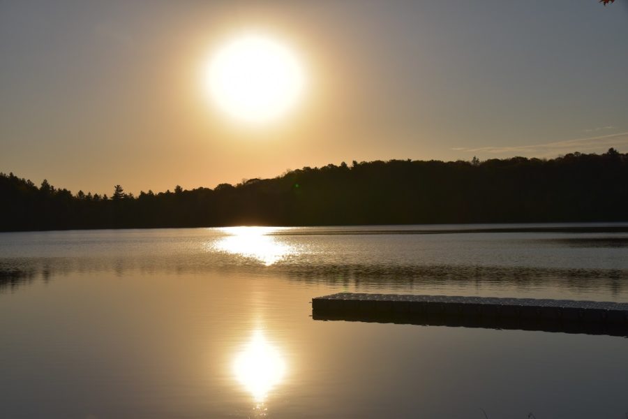 Sun, low and bright over a lake with a forested shoreline, reflecting in the water