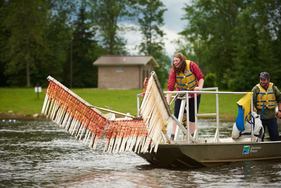  a person lowering a rake machine into the water